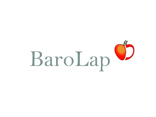 BaroLap